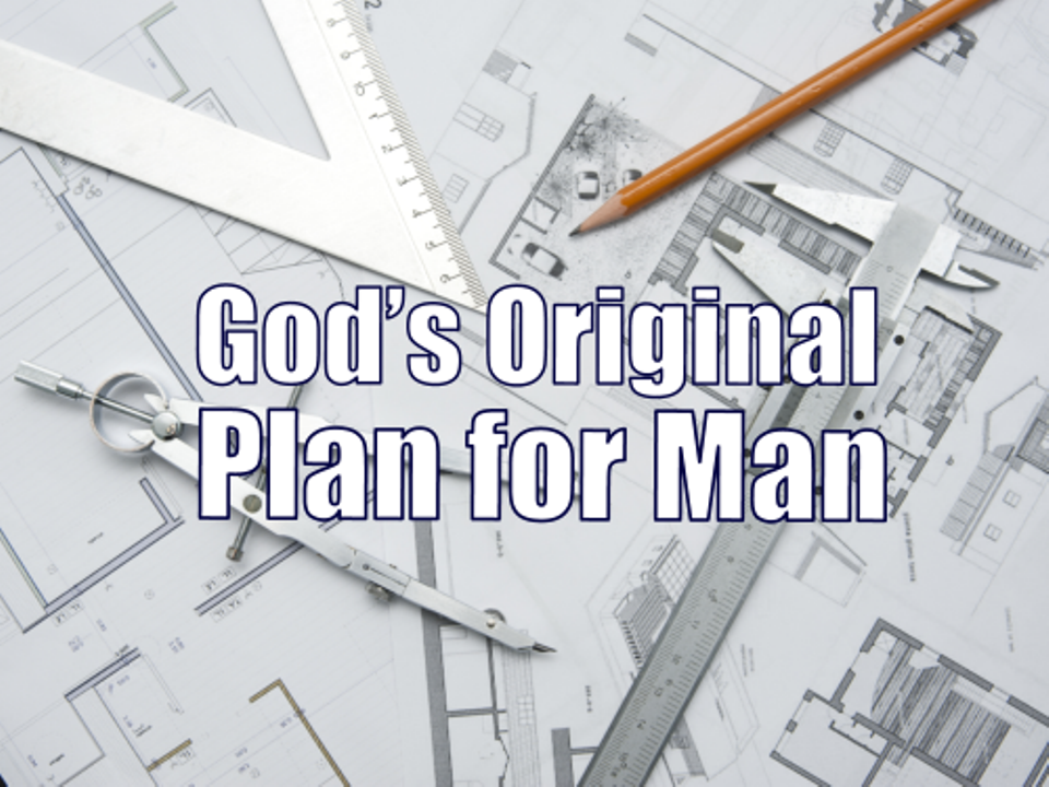 God's Original Plan for Man