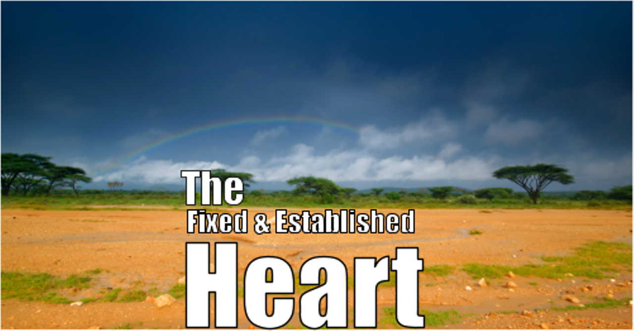 #3 -The Fixed and Established Heart